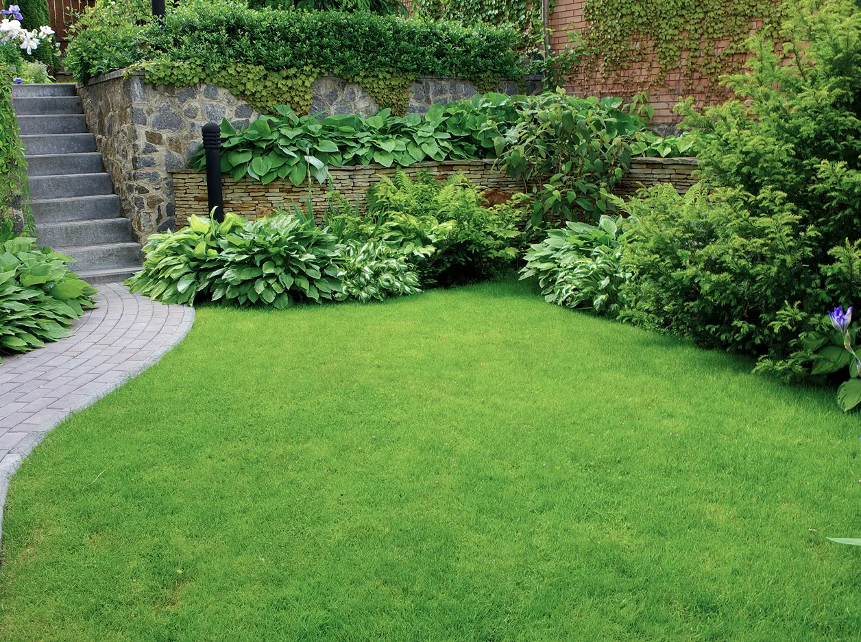 Landscape Upgrades & EnhancementsImprove, expand, or refine existing outdoor areas with tailored solutions for irrigation, lighting, and hardscaping.